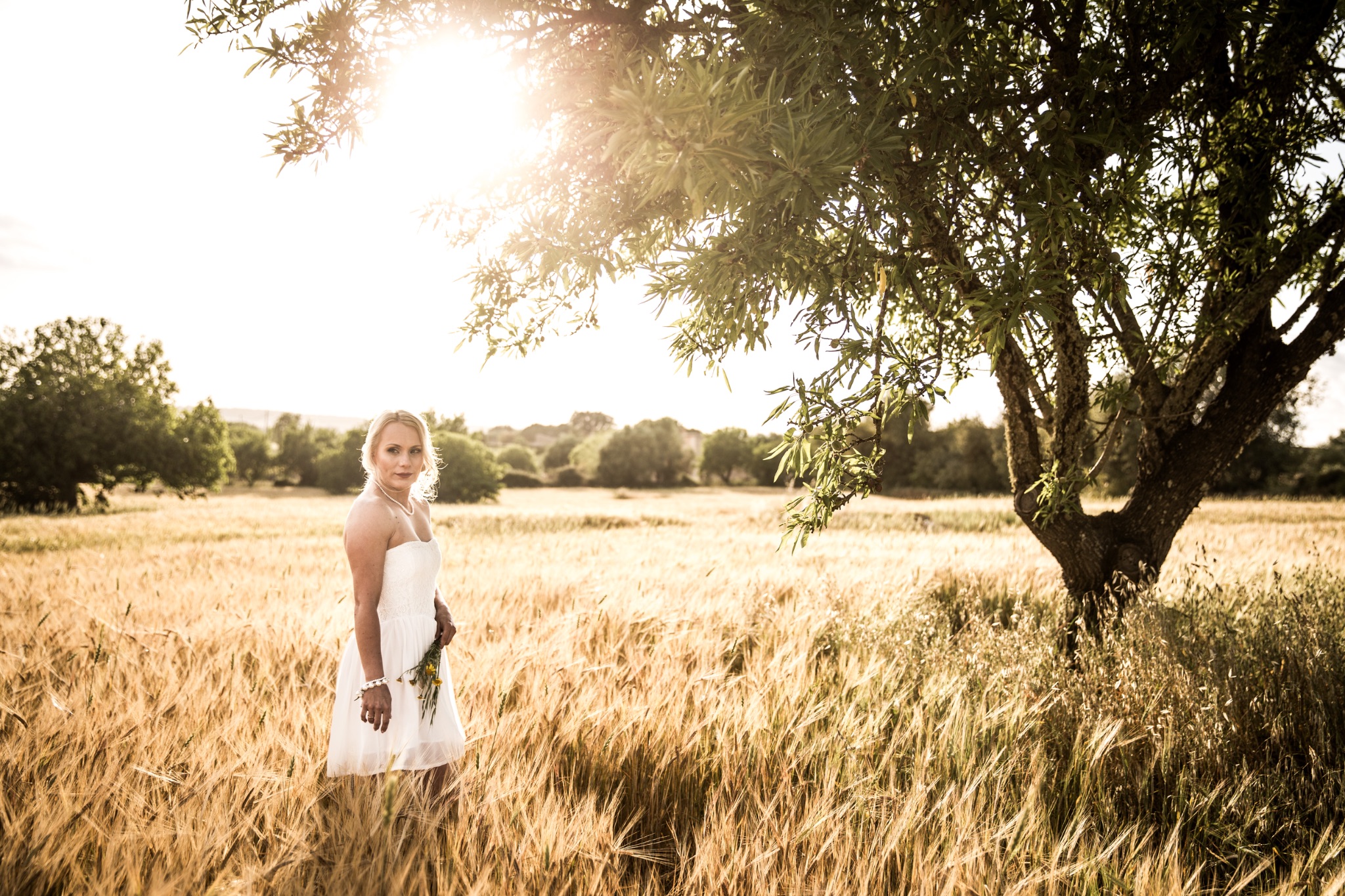 Afterwedding mallorca braut im kornfekd baum rechts sonnenuntergang
